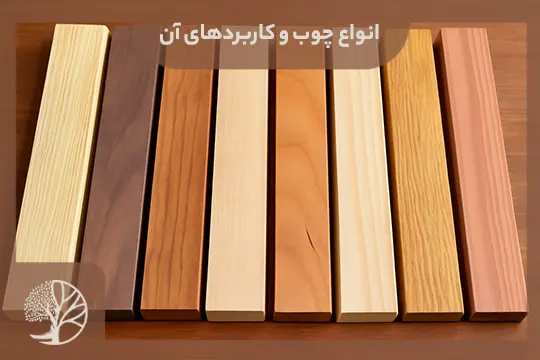انواع چوب و کاربردهای آن
